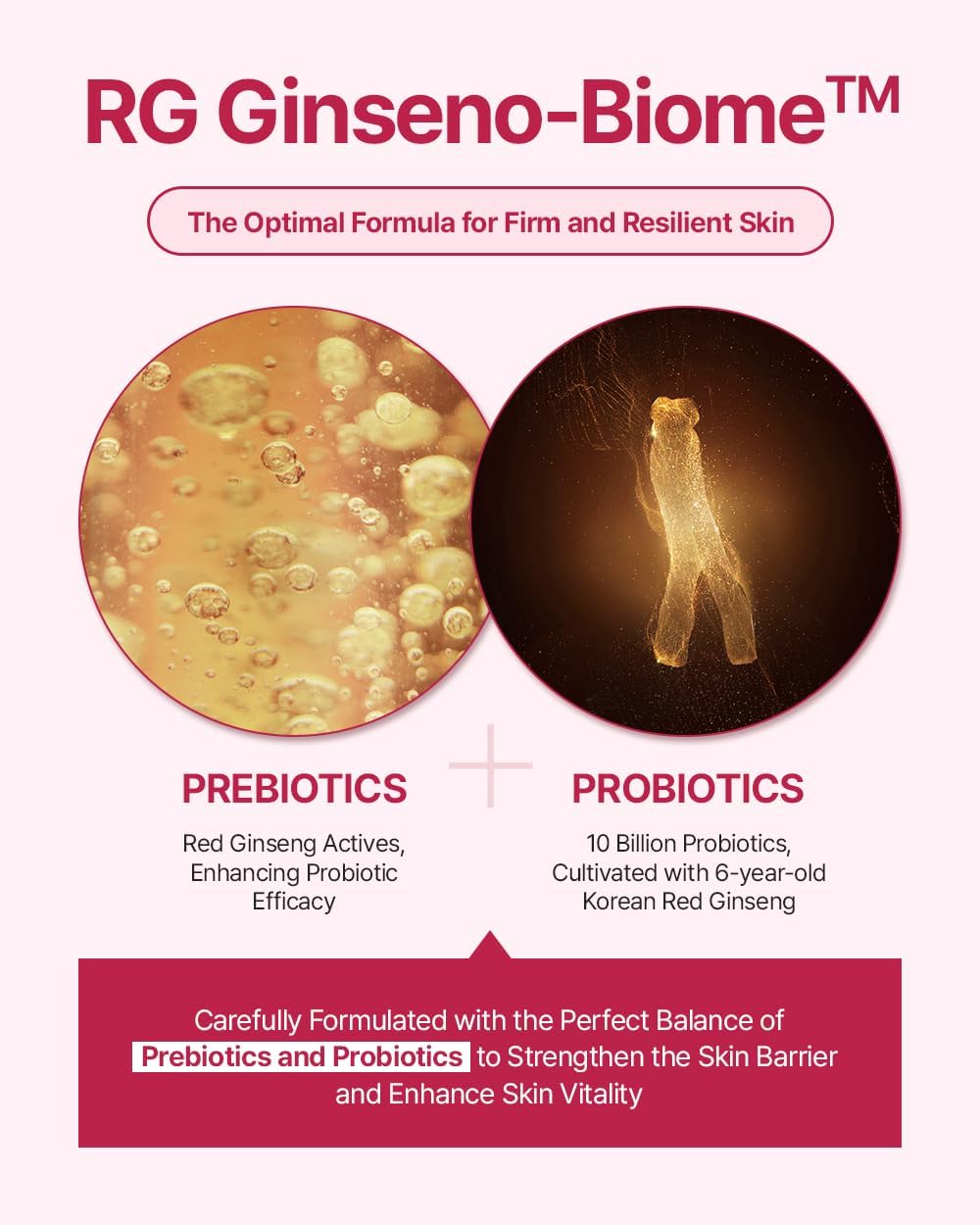 Donginbi Red Ginseng Daily Defense Special Set - Firming Cream(0.85 floz) & Korean Red Ginseng Essence(2.03 floz), Skin Barrier Repair Serum for Dry Skin, Korean Skin Care Gifts for Women