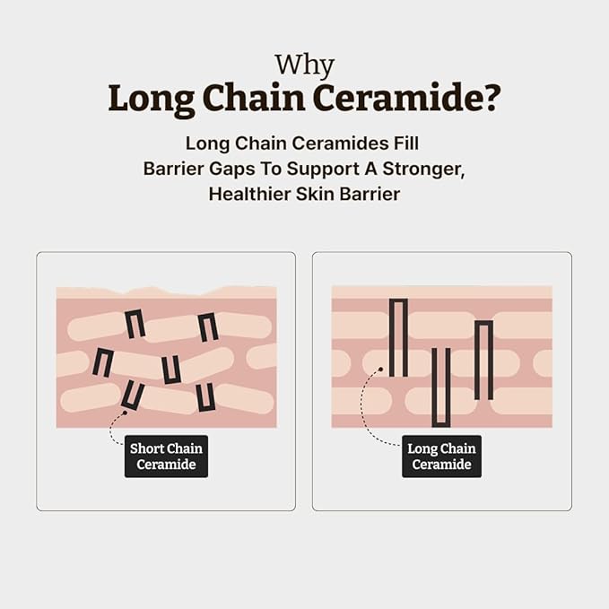 Dr. Reju-All Advanced PDRN Rejuvenating Cream + Advanced LC-Ceramide Barrier Cream - 99% Pure Salmon DNA PDRN Face Moisturizer - Patented Long Chain Ceramide - Korean Anti-Aging Skin Care Face Cream