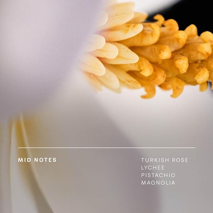 Future Society Solar Canopy Luxury Home & Body Gift Set - Includes Body Wash, Body Lotion, & 2oz Scented Candle - Fruity Floral with Notes of Black Pepper, Sandalwood & Amber - Beauty Gifts for Women