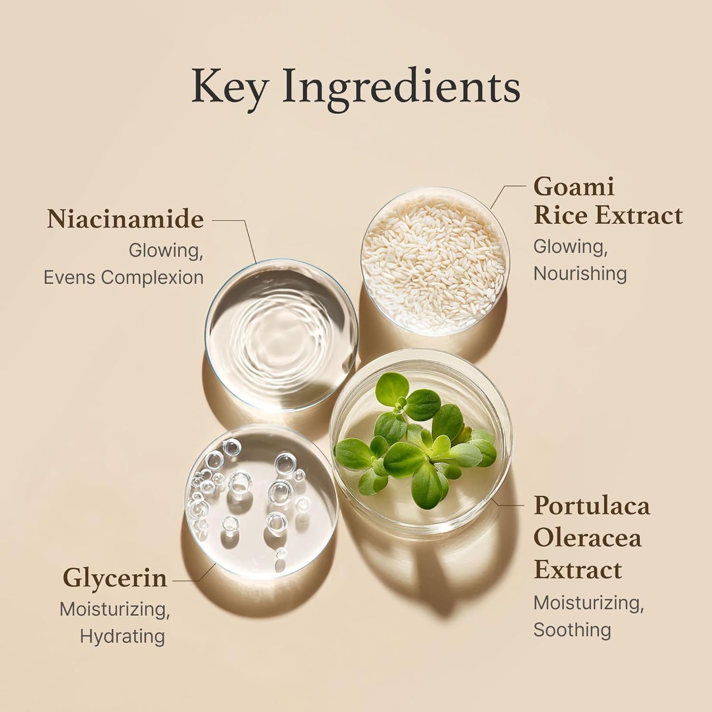 I'm from Rice Toner for Sensitive Skin, Rice Extract from Korea, Glow Essence with Niacinamide, Hydrating, Vegan, Alcohol Free, Fragrance Free, Peta Approved, K Beauty Toner, 5.07 Fl Oz