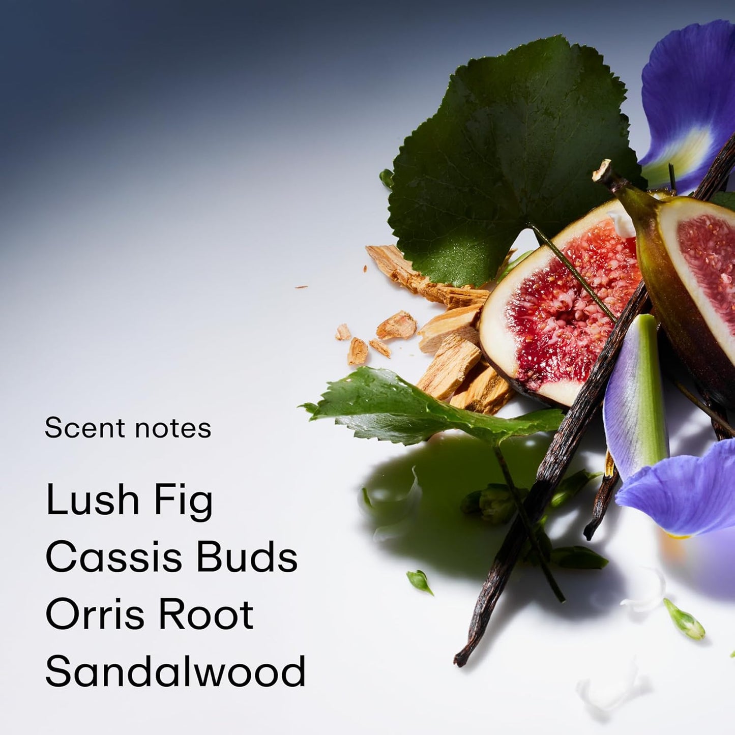 PHLUR Father Figure Natural Deodorant - 48 Hour Odor Protection Baking Soda Free & Aluminum Free Deodorant - Salicylic Acid, Arrowroot Powder & Tamanu Oil - No Residue or Irritation