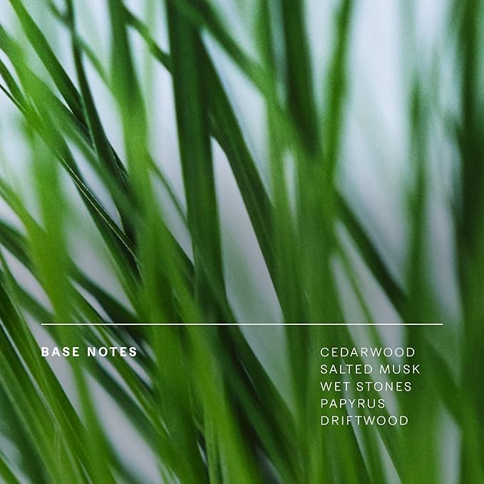 Future Society Floating Forest Luxury Home & Body Gift Set - Includes Body Wash, Body Lotion, & 2oz Scented Candle - Aquatic Floral with Notes of Bergamot, Freesia & Musk - Beauty Gifts for Women