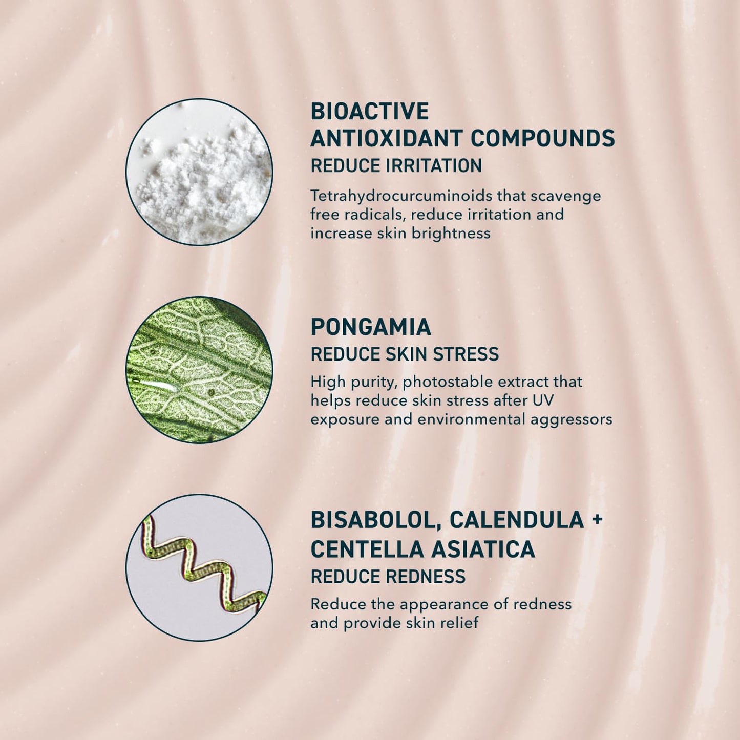 Skin Sun Barrier Mineral Sunscreen SPF 50. PA++++ Broad Spectrum Zinc Oxide Sunblock with Semi-Transparent Lightweight Texture. Moisturizing UV Defense for Face. Travel Size, 1.7oz