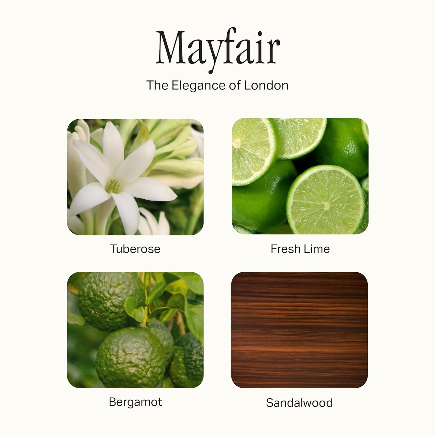 Hand Set, Scented Hand Wash & Cream Duo, Gently Cleanses, Hydrating & Nourishing