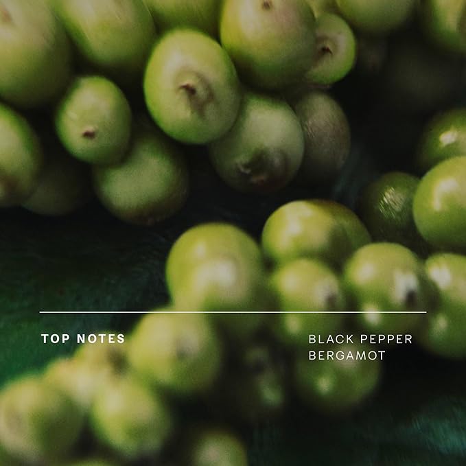 Future Society Floating Forest Luxury Home & Body Gift Set - Includes Body Wash, Body Lotion, & 2oz Scented Candle - Aquatic Floral with Notes of Bergamot, Freesia & Musk - Beauty Gifts for Women