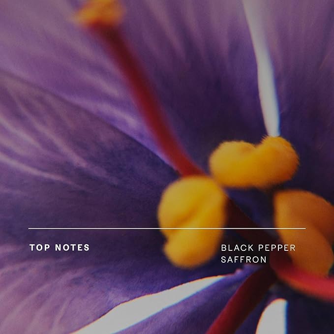 Future Society Haunted Rose Luxury Home & Body Gift Set - Body Wash, Body Lotion, & 2oz Scented Candle - Smoky Floral with Notes of Black Pepper, Rose, Amber & Sandalwood - Beauty Gifts for Women