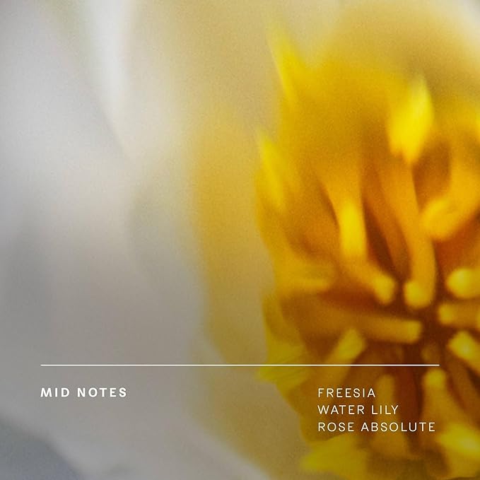 Future Society Floating Forest Luxury Home & Body Gift Set - Includes Body Wash, Body Lotion, & 2oz Scented Candle - Aquatic Floral with Notes of Bergamot, Freesia & Musk - Beauty Gifts for Women