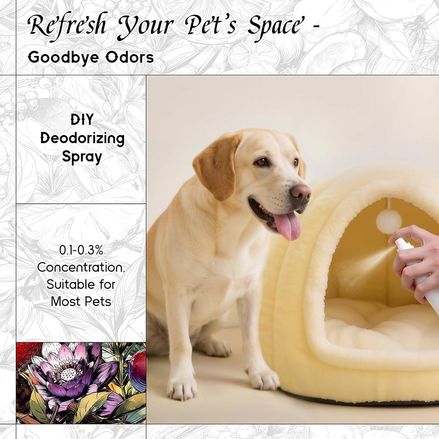 HIQILI Water Lily Papyrus Fragrance Oil for DIY Soap, Inspired by ISY-Myake L.d'Isy, Perfume, Candle Making, Fresh Scents for Laundry Dryer Balls, Gifts- 5.07 Fl Oz