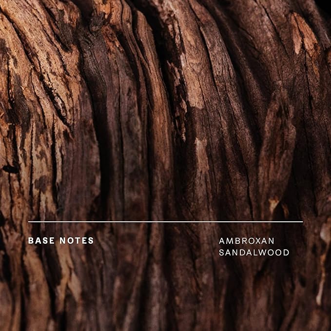 Future Society Haunted Rose Luxury Home & Body Gift Set - Body Wash, Body Lotion, & 2oz Scented Candle - Smoky Floral with Notes of Black Pepper, Rose, Amber & Sandalwood - Beauty Gifts for Women