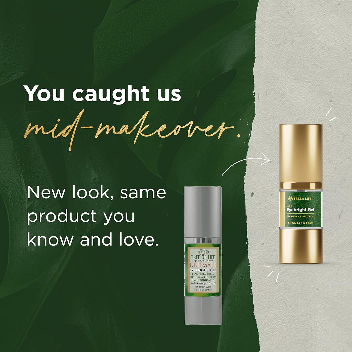 Tree of Life Anti-Aging Eye Treatment Gel Cream to Hydrate Dark Circles and Reduce Puffiness, Bags and Wrinkles, Luxe Eyebright Gel with Amino Acids