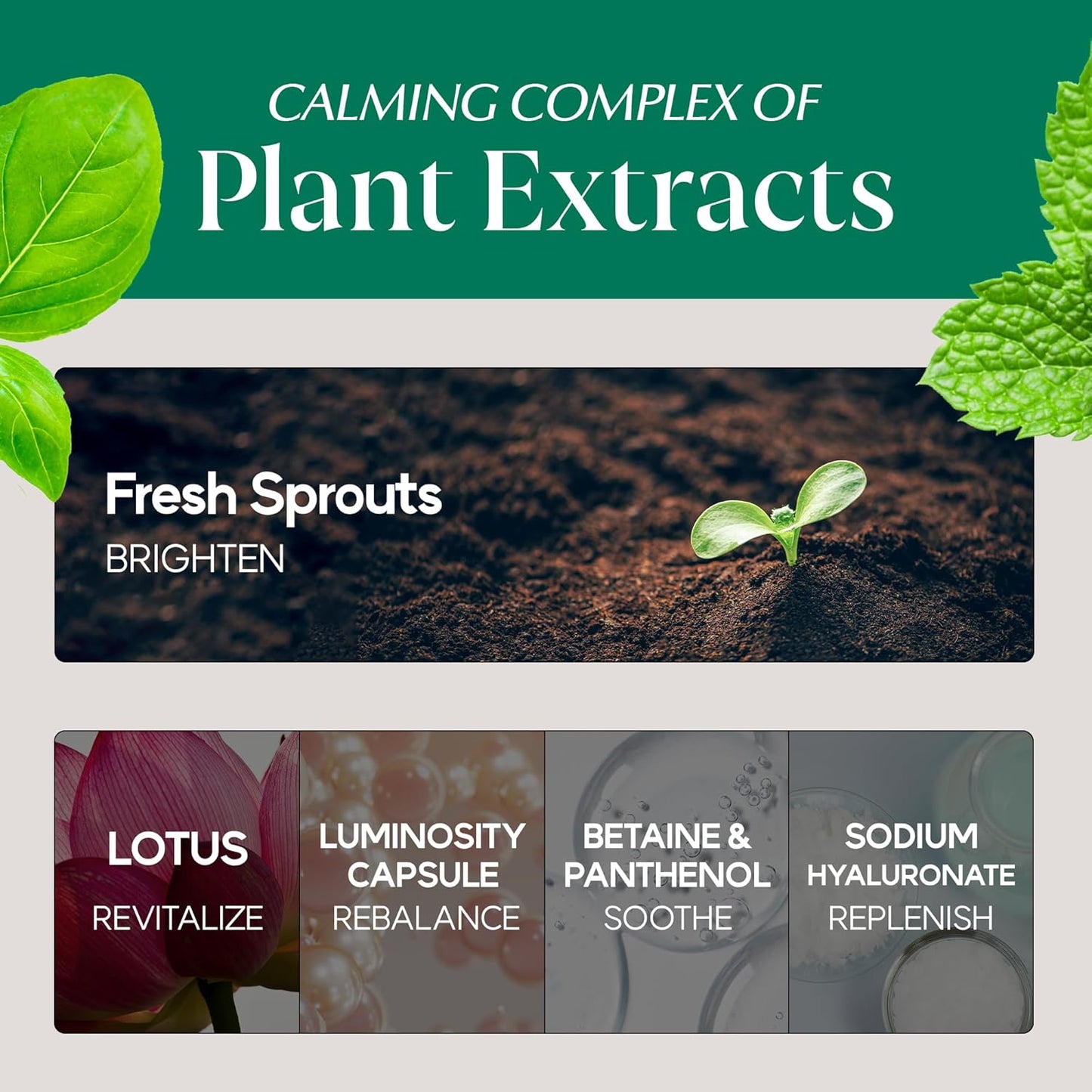 HAYEJIN Blessing of Sprout Radiance Toner | Korean Skin Care Toner for Face w/Radiance Capsules | Hydrating Toner for Dry Sensitive Skin | Glow Brightening Toner (Pack of 1, 4.06 Fl. Oz)