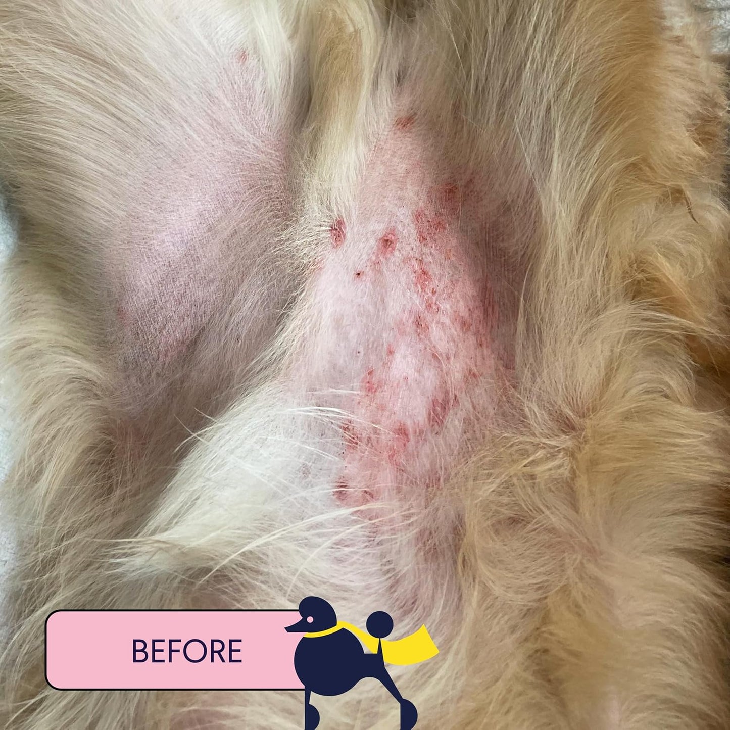 Finn Skin Hero | Revitalizing Natural Dog Skin Balm | Soothes, Strengthens & Protects from Hot Spots, Itching and Irritation - 1.75 oz